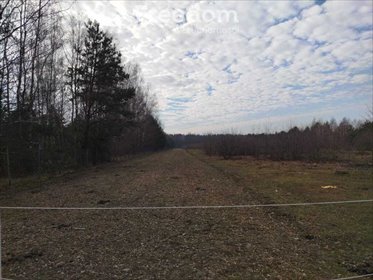 działka na sprzedaż 1500m2 działka Kąck, Myśliwska