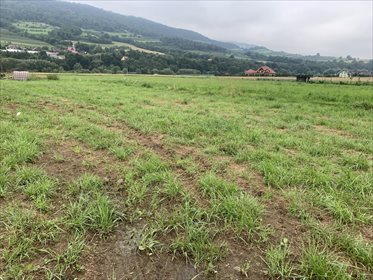 Działka budowlana na sprzedaż Ujanowice 1 000m2 Foto 1