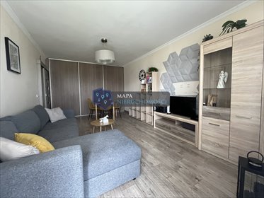 mieszkanie na wynajem 58m2 mieszkanie Włocławek