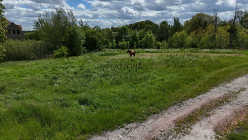 działka na sprzedaż 3018m2 działka Dalwin