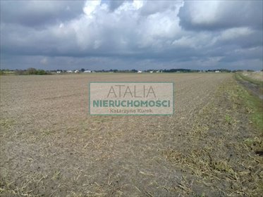 Działka 8 400 m² w Domaniewku z potencjałem rozwoju działka Domaniewek