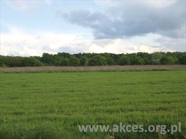 działka na sprzedaż 1598m2 działka Warszawa, Ursynów, Natolin