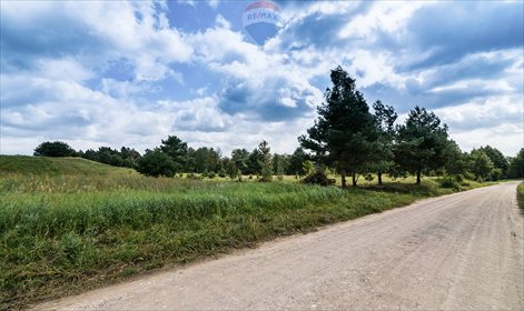 Działka budowlana na sprzedaż Zełwągi 4 648m2 Foto 4