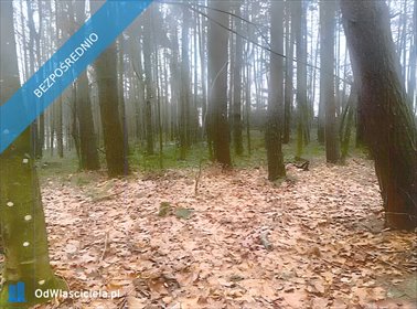 działka na sprzedaż 2092m2 działka Pobłocie