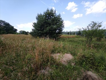 działka na sprzedaż 906m2 działka Zawonia, Wiosenna