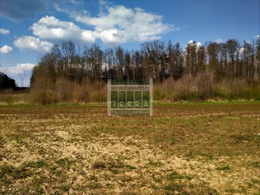 Działka rolna 3525 m² z prądem, spokojna okolica działka Letnica