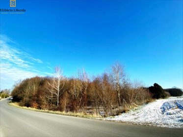 działka na sprzedaż 8900m2 działka Konopnica