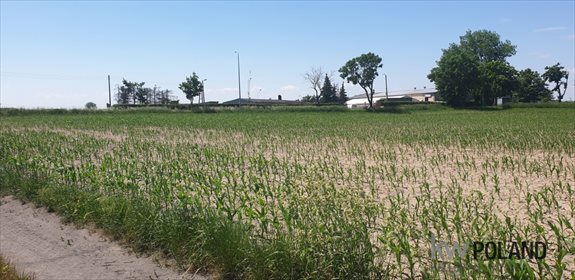 Działka przemysłowo-handlowa na sprzedaż Góra, Szamotulska 10 000m2 Foto 2