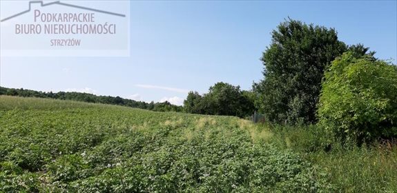 Działka budowlana na sprzedaż Glinik Górny 3 200m2 Foto 2