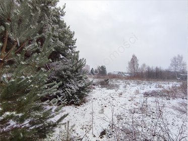 działka na sprzedaż 1600m2 działka Szczęsne