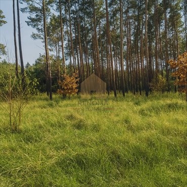 działka na sprzedaż 744m2 działka Zielona Góra