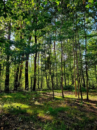 działka na sprzedaż 840m2 działka Wiązowna