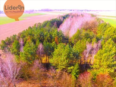 działka na sprzedaż 40000m2 działka Zelgoszcz