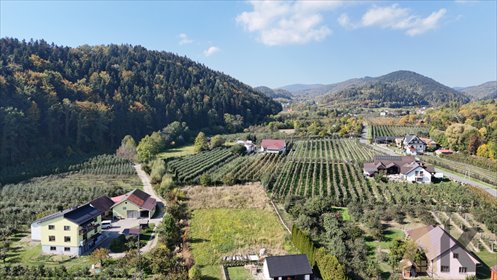 Działka budowlana z panoramicą w Czarnym Potoku - polecam! działka Łącko