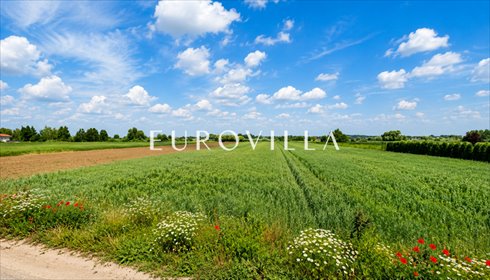 Sprzedam działkę inwestycyjną 7 749 m² w Wilanowie Powsinie działka Warszawa, Wilanów Powsin