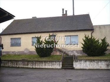 Lokal użytkowy na sprzedaż Białośliwie 2 190m2 Foto 5