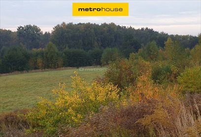 Widokowa działka 2400 m² w Swarzędzu - polecam działka Swarzędz