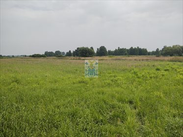 Działka budowlana na sprzedaż Ochodza 5 146m2 Foto 1