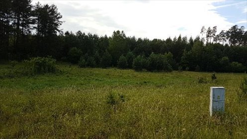 działka na sprzedaż 3004m2 działka Szczytno, Szczycionek
