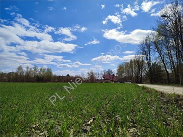 Działka 1800 m² pod zabudowę w Odrano-Woli działka Odrano-Wola