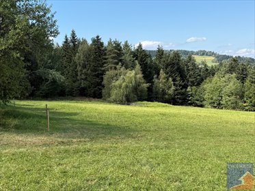 Działka 1700 m² w Siekierczynie (uzyskanie warunków zabudowy) działka Siekierczyna