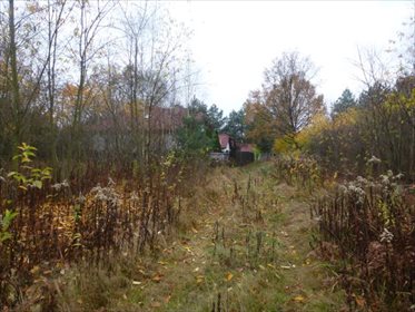 działka na sprzedaż 2000m2 działka Warszawa, Wawer, Aleksandrów, Podkowy