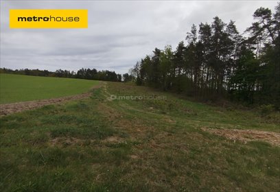 działka na sprzedaż 14790m2 działka Dębnica Kaszubska, Parkowa