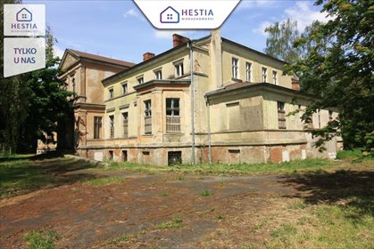 lokal użytkowy na sprzedaż 1680m2 lokal użytkowy Strzyżno