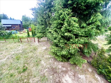 działka na sprzedaż 500m2 działka Pieńki Słubickie