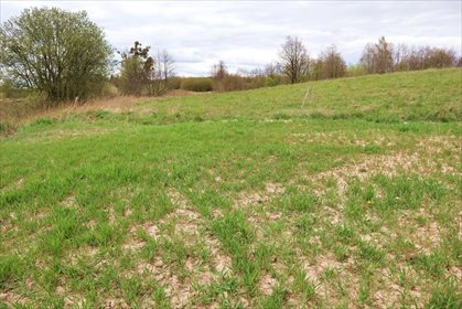 Działka rolna na sprzedaż Gorłówko 3 883m2 Foto 2