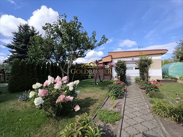 Działka 330 m² z domkiem i ogrodem w Wildzie (własny wypoczynek) działka Poznań, Opolska