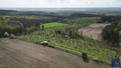 Polecam działkę 3001 m² w Arentowie - malownicza okolica, dojazd utwardzony działka Arentowo