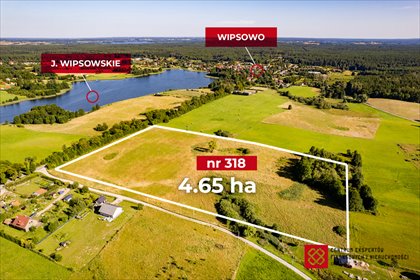 Zapraszam do zakupu działki 46,5 ha nad jeziorem Wipsowskim działka Wipsowo