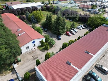magazyn na sprzedaż 979m2 magazyn Koło