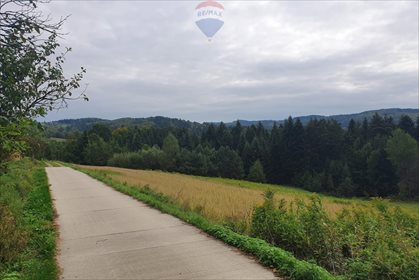 Działka rolna na sprzedaż Bartkowa-Posadowa 15 200m2 Foto 2