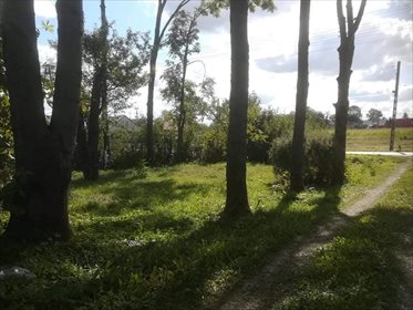 działka na sprzedaż 2500m2 działka Lubiczko
