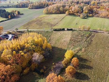 Działka inna na sprzedaż Pilona, Pilona 3 187m2 Foto 7