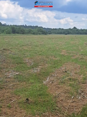 działka na sprzedaż 267900m2 działka Wrzeszczyna, Zawada