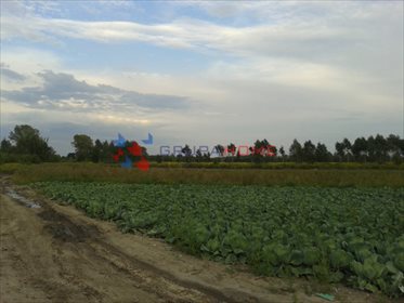 działka na sprzedaż 2305m2 działka Warszawa, Ursynów