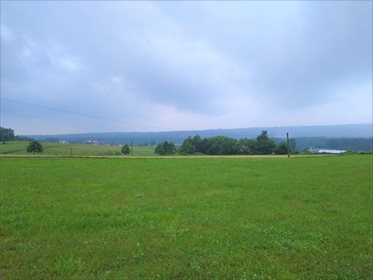 Działka budowlana na sprzedaż Pępice 1 238m2 Foto 3