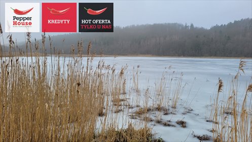 działka na sprzedaż 6773m2 działka Huta Dolna, Żurawi Trakt
