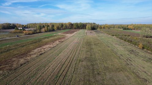 działka na sprzedaż 14700m2 działka Wola Prażmowska, Wola Prażmowska