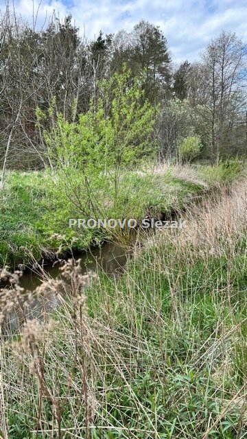 działka na sprzedaż 3000m2 działka Koczurki, Koczurki