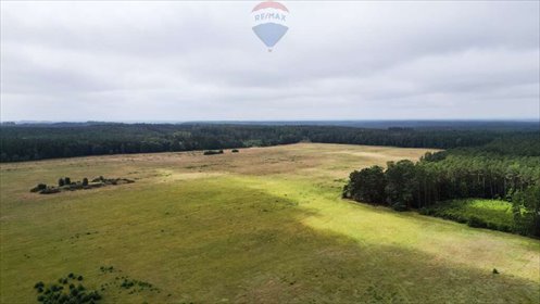 działka na sprzedaż 3405m2 działka Ulinia