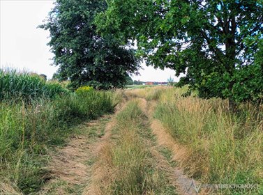 działka na sprzedaż 4000m2 działka Nowiny