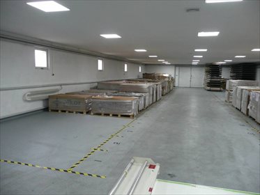 Magazyn na sprzedaż Czerniejewo, Szkolna 1 200m2 Foto 5