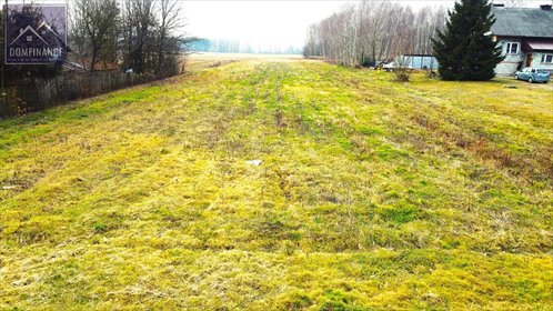 Działka budowlana na sprzedaż Żelazówka 5 900m2 Foto 2