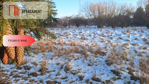 działka na sprzedaż 7450m2 działka Wałcz