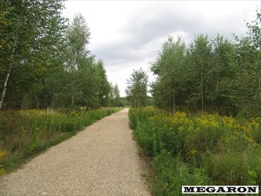 Działka 3381 m² w Woli Mokrzesce - inwestycja i prywatność działka Wola Mokrzeska
