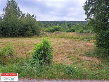 działka na sprzedaż 12800m2 działka NOWA SŁUPIA, HUCISKO